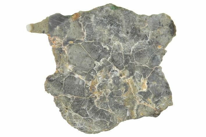 NWA Lunar Meteorite ( g) Slice #360586